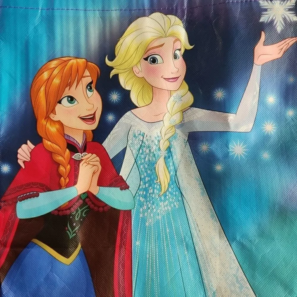 Disney Princess flip flop & reusable bag set